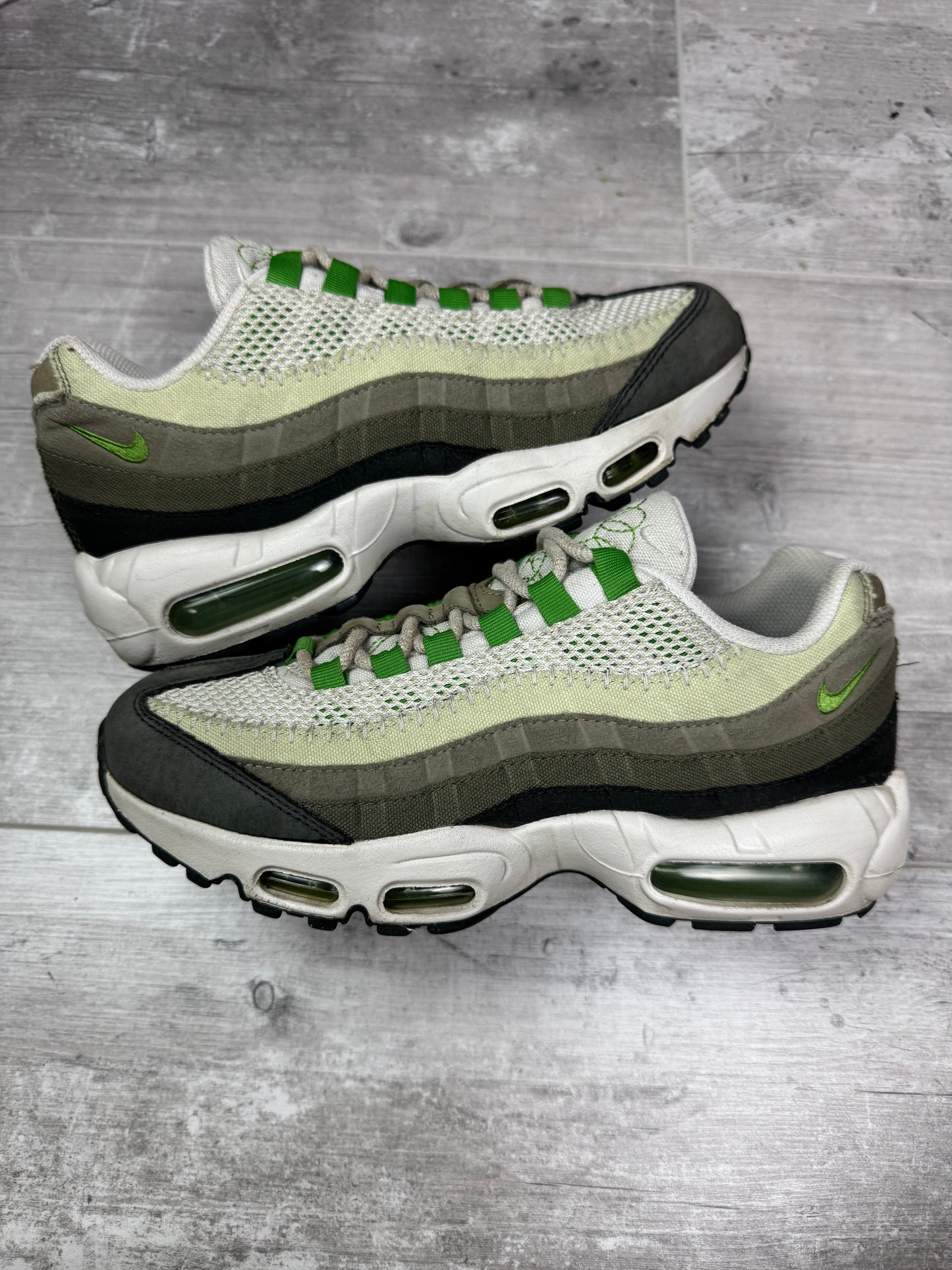 40 - Nike Air Max 95 'Earth Day' (W)